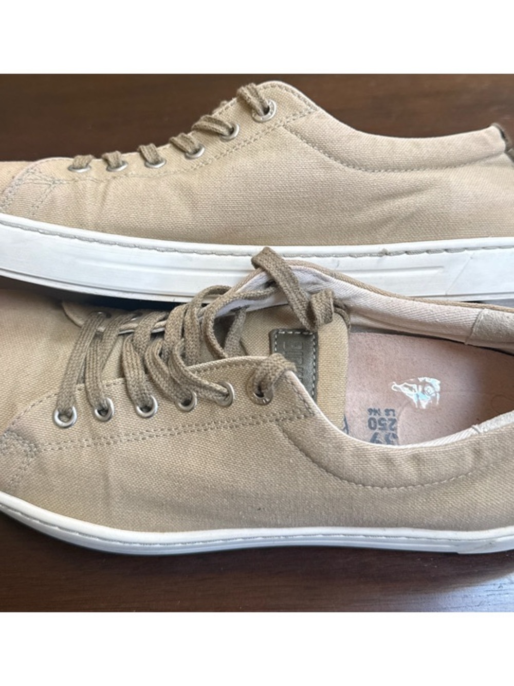 Arran Canvas Sneakers - Picture 6 of 7
